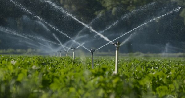 Emergency Irrigation Repair